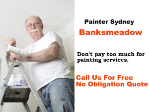 Painter Banksmeadow NSW