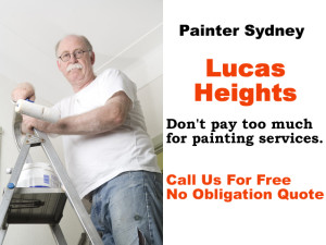 Painter in Lucas Heights