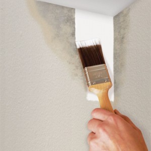 mildew resistant paint