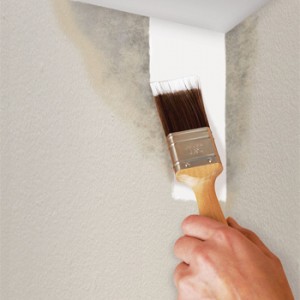 Keep Mould and Mildew off Your Walls with Mildew Resistant ...